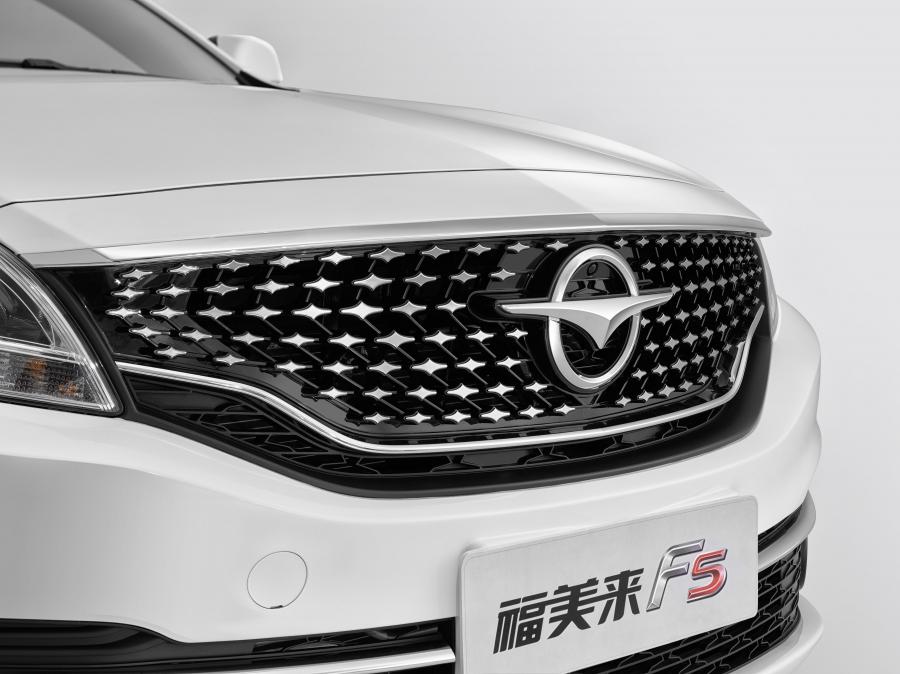 Детали экстерьера Haima Family F5 2018 года  (фото 6 из 14)